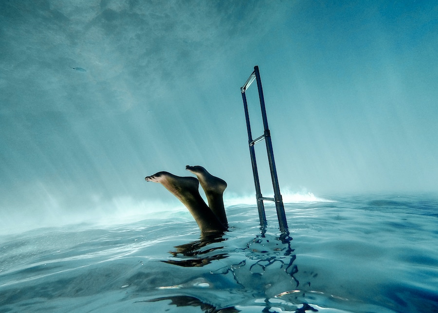 Foto ganadora \Ocean Power Watersports Photography Awards 2021 categoría Actividades subacuáticas. Fotógrafa: Teresa Losada (España)